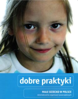 Małe dziecko w Polsce – doświadczenia organizacji pozarządowych